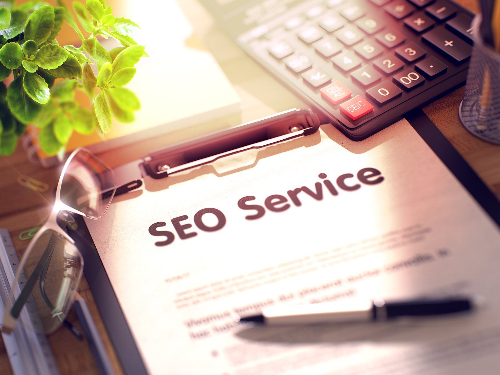 SEO Consultant